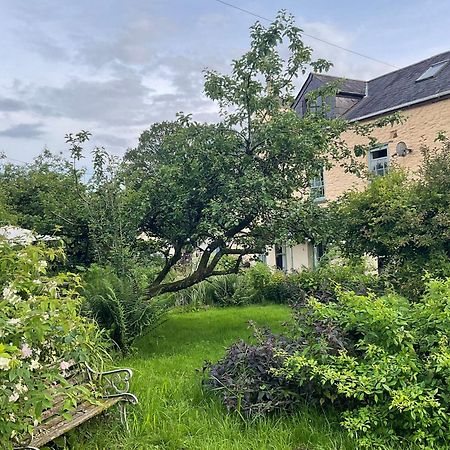 Ynyswen Bed & Breakfast Nantgaredig 외부 사진
