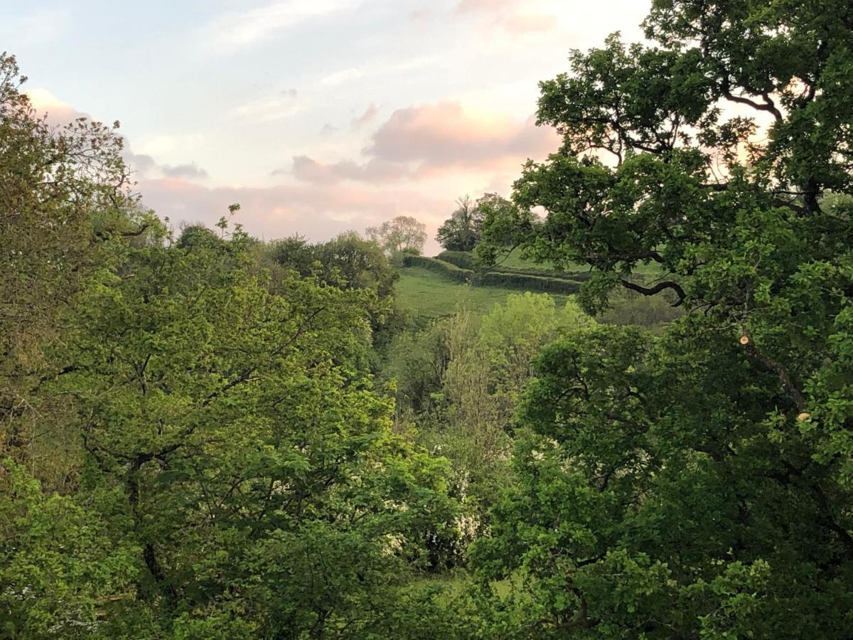 Ynyswen Bed & Breakfast Nantgaredig 외부 사진