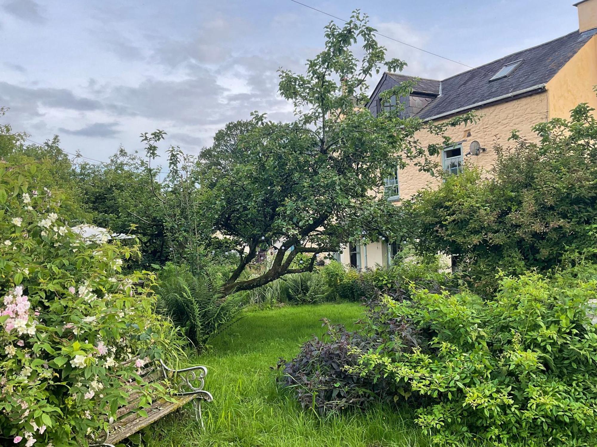 Ynyswen Bed & Breakfast Nantgaredig 외부 사진