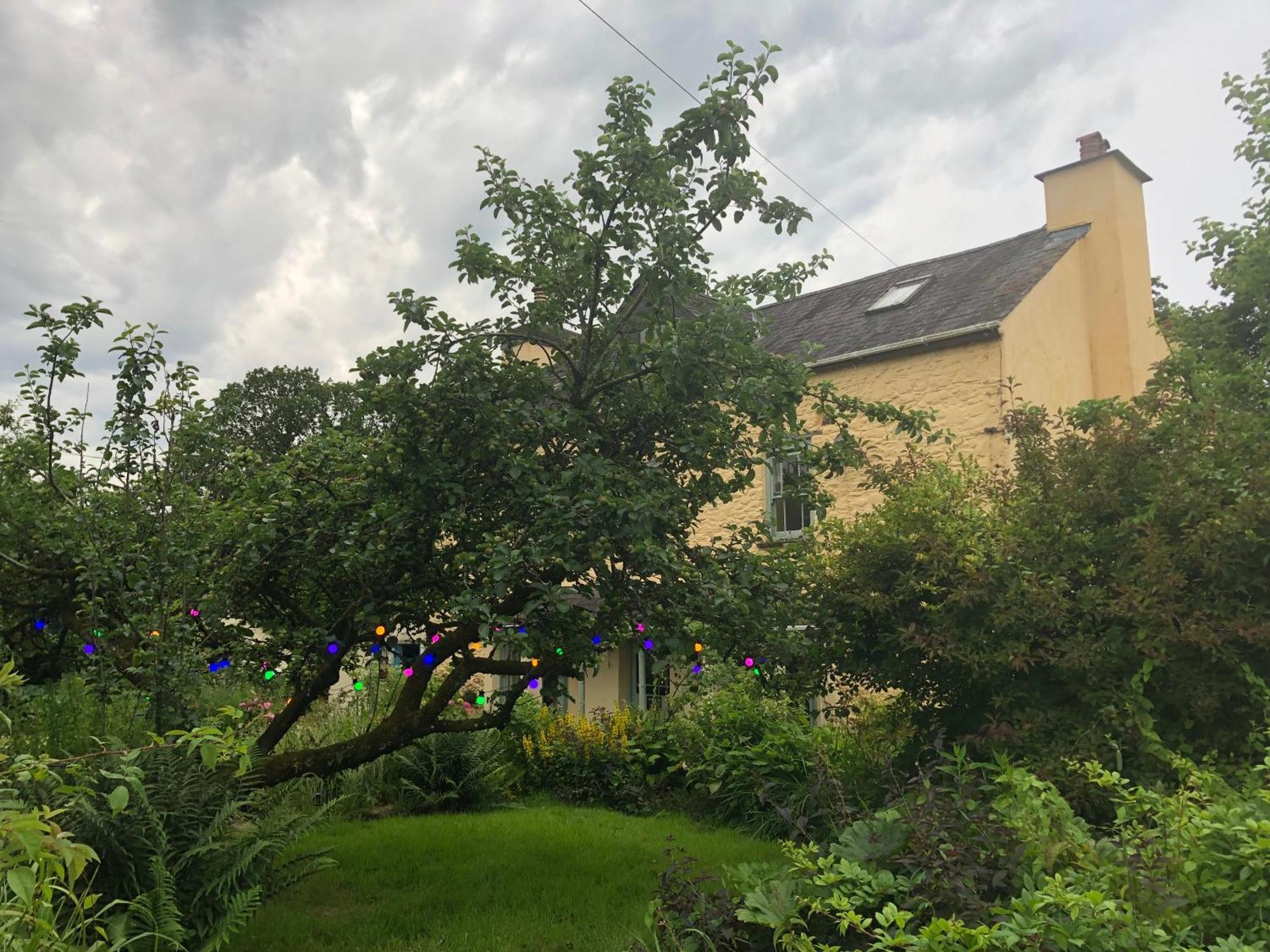 Ynyswen Bed & Breakfast Nantgaredig 외부 사진